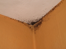 Devis Traitement humidité: Hydrofugation (imperméabilisation) des murs